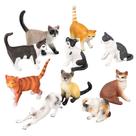 Conjunto de estatuetas de gato realistas de PVC, 10 unidades siamesas malhadas para crianças
