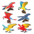 Conjunto de estatuetas de papagaio: 6 figuras de animais de PVC realistas para crianças