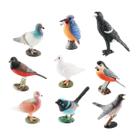 Conjunto de estatuetas de pássaros, 9 peças realistas de PVC, modelos de pássaros selvagens para crianças