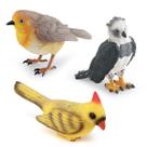 Conjunto de estatuetas de pássaros realistas, 3 unidades: Canary, Robin, Harpy Eagle