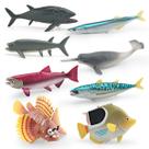 Conjunto de estatuetas de peixes oceânicos, 8 peças de modelos realistas de vida marinha em PVC