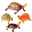 Conjunto de estatuetas de tartaruga, 4 modelos realistas de animais selvagens em PVC para crianças Conjunto de estatuetas de tartaruga, 4 modelos realistas de animais selvagens em PVC para crianças