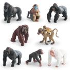 Conjunto de estatuetas Gorilla and Monkey, 8 peças de PVC realista