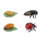 Conjunto de estatuetas Ladybug Animals, modelo em miniatura, Toy Fig