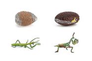 Conjunto de estatuetas Praying Mantis, modelo em miniatura, animais, brinquedo