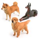 Conjunto de estatuetas realistas para cães, 3 peças, PVC Shiba Inu Golden