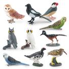Conjunto de estatuetas Realistic Bird, 10 peças de PVC, decoração de jardim em miniatura Conjunto de estatuetas Realistic Bird, 10 peças de PVC, decoração de jardim em miniatura
