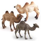 Conjunto de estatuetas Realistic Camel PVC Desert Animal Kids 3+ Conjunto de estatuetas Realistic Camel PVC Desert Animal Kids 3+