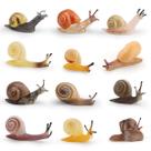 Conjunto de estatuetas Realistic Snail, 12 peças de PVC em miniatura, Nature Lover