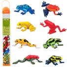 Conjunto de estatuetas Safari Ltd. Poison Dart Frogs Toob Kids 3+ Y