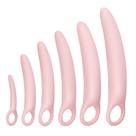 Conjunto de Exercitadores do Assoalho Pélvico Lyniya com 6 Peças de Silicone