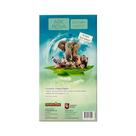 Conjunto de Expansão Ark Nova Zoo para Jogos Capstone Games