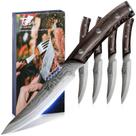 Conjunto de facas para bife SYOKAMI 4 em aço inoxidável japonês de alto carbono Conjunto de facas para bife SYOKAMI 4 em aço inoxidável japonês de alto carbono