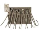 Conjunto de ferramentas de bonsai com 6 peças de aço inoxidável de 210 mm Conjunto de ferramentas de bonsai com 6 peças de aço inoxidável de 210 mm