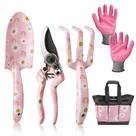 Conjunto de ferramentas de jardinagem WORKPRO 5PCS com bolsa de alumínio para mulheres
