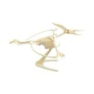 Conjunto De Figuras De Ação De Dinossauro Jurássico DIY Para Crianças, Esqueleto De Mosassauro E