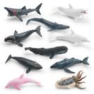 Conjunto de figuras de animais oceânicos, 10 peças de brinquedos realistas de vida marinha em PVC