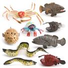 Conjunto de figuras de animais oceânicos realistas de 9 peças de brinquedo de vida marinha em PVC
