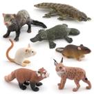 Conjunto de figuras de animais selvagens de 7 peças, modelos de PVC para crianças