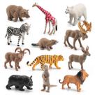 Conjunto de figuras de animais selvagens, safári realista de PVC de 12 peças para crianças Conjunto de figuras de animais selvagens, safári realista de PVC de 12 peças para crianças