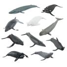Conjunto de figuras de baleia, 10 peças de brinquedo infantil de PVC realista para animais marinhos