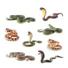 Conjunto de figuras de cobra, brinquedo realista para crianças, animais de répteis selvagens em PVC Conjunto de figuras de cobra, brinquedo realista para crianças, animais de répteis selvagens em PVC