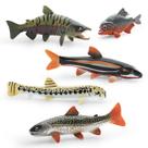 Conjunto de figuras de peixe realistas, 5 peças de PVC de água doce e marinha