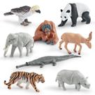Conjunto de figuras de vida selvagem para animais asiáticos, 12 peças de PVC para crianças de 3 anos ou mais