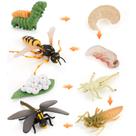 Conjunto de figuras do ciclo de vida de insetos, modelos educacionais de PVC de 8 peças Conjunto de figuras do ciclo de vida de insetos, modelos educacionais de PVC de 8 peças