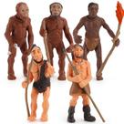 Conjunto de figuras pré-históricas da evolução humana, 5 peças de PVC para crianças Conjunto de figuras pré-históricas da evolução humana, 5 peças de PVC para crianças