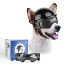 Conjunto de Gafas y Casco para Perros Pequeños PETLESO Negro Conjunto de Gafas y Casco para Perros Pequeños PETLESO Negro