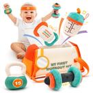 Conjunto de ginástica de pelúcia Vanplay My First Gym Kit para bebês de 0 a 12 meses