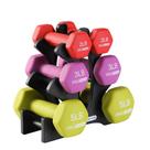Conjunto de Halteres HolaHatha 9 kg de Neoprene com Suporte Multicolorido Conjunto de Halteres HolaHatha 9 kg de Neoprene com Suporte Multicolorido