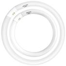 Conjunto de lâmpadas Circline Celiwace FC16T9 40W e FC12T9 32W
