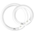 Conjunto de lâmpadas circulares Celiwace FC8T9 22W e FC12T9 32W
