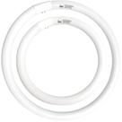 Conjunto de lâmpadas fluorescentes CHKADAWA FC12T9/CW 32W e FC16T9/CW 40W