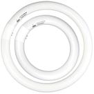 Conjunto de lâmpadas fluorescentes CHKADAWA FC8T9/CW 22W e FC12T9/CW 32W