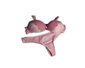 Conjunto de Lingerie com Bojo Rendado Conjunto de Lingerie com Bojo Rendado