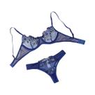 Conjunto De Lingerie Feminino Sexy Com Renda, Sutiã Push-up E Calcinha, Semitransparente Com Bordado Conjunto De Lingerie Feminino Sexy Com Renda, Sutiã Push-up E Calcinha, Semitransparente Com Bordado
