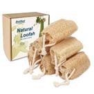 Conjunto de loofa natural Loofah Sponge Balifeel, pacote com 6 esfoliantes