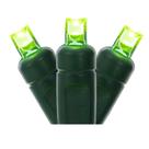 Conjunto de luzes de corda LED Vickerman 100 LEDs, fio verde de 10 m