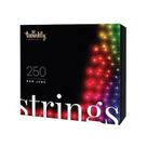 Conjunto de luzes Holiday Bright Lights 250L Twinkling Green Wire
