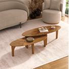 Conjunto de Mesa de Centro Laminada Folha Orgânica Conjunto de Mesa de Centro Laminada Folha Orgânica