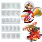 Conjunto de moldes de silicone de renda coral de 5 peças para decoração de bolos