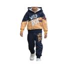 Conjunto De Moletom Color Block Para Meninos Com Estampa Gráfica WILD BOY E Painel Tie-Dye, Roupa