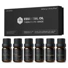Conjunto de óleos de aromaterapia Airversa Top 6 de 10 ml (eucalipto, lavanda, capim-limão, laranja doce, hortelã, melaleuca) Conjunto de óleos de aromaterapia Airversa Top 6 de 10 ml (eucalipto, lavanda, capim-limão, laranja doce, hortelã, melaleuca)