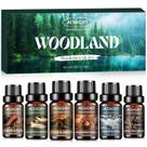 Conjunto de óleos essenciais Aeshory Woodland Woody Scent 6x10ml