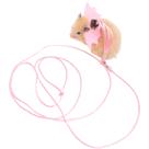 Conjunto de Peitoral e Guia Copfeu para Pequenos Animais Rosa