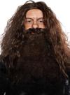 Conjunto de peruca e barba Costume ALLAURA Brown Wizard para homens