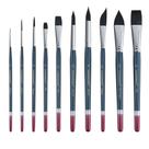 Conjunto de pincéis de aquarela TRANSON Professional 10 unidades
